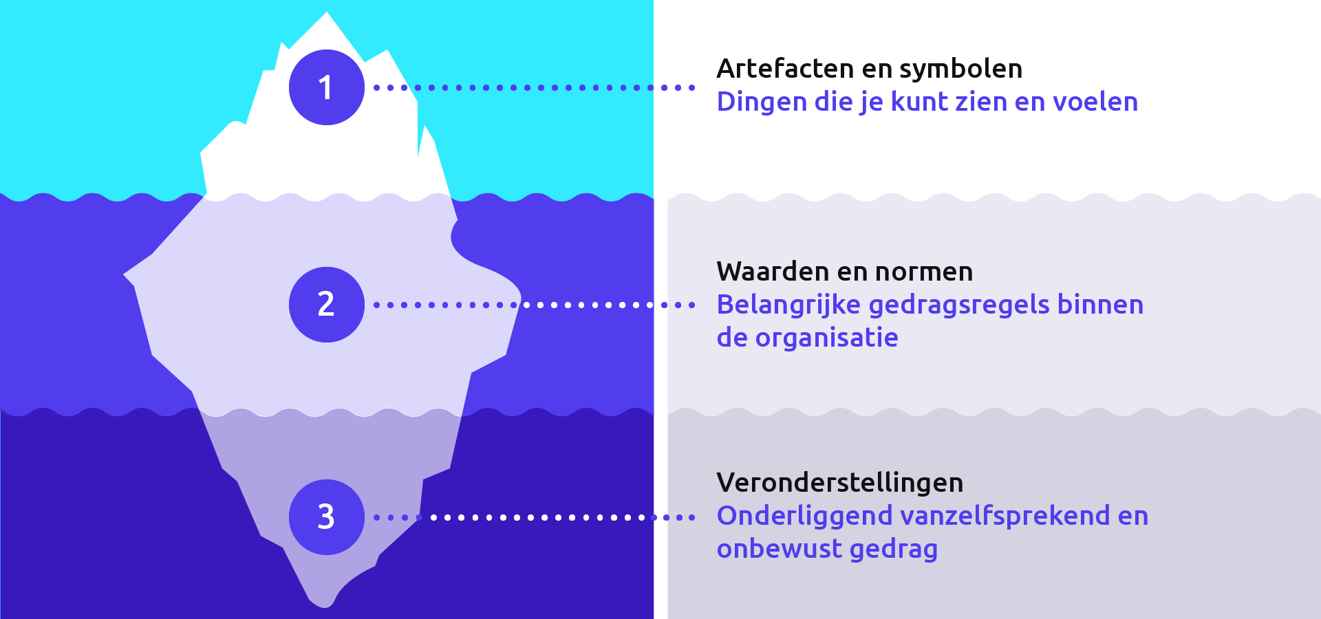 organisatiecultuur begrijpen